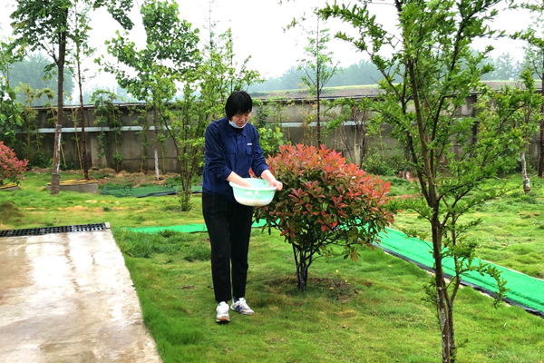 1590453081978711.jpg 2.jpg