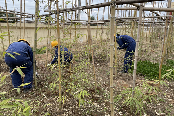 1617172470505098.png 圖片 2.png