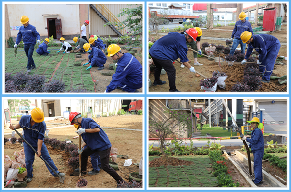 1624605769552393.png 綠化現場的勞動場景.png