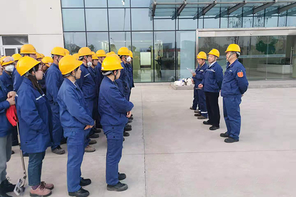 1625206266930848.jpg 03.jpg