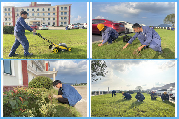 1629625247237813.jpg 四合一_副本.jpg