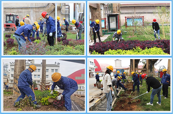 1647344734278807.jpg 圖片2.jpg