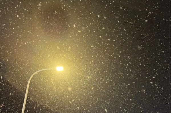 路燈下的雪花.jpg