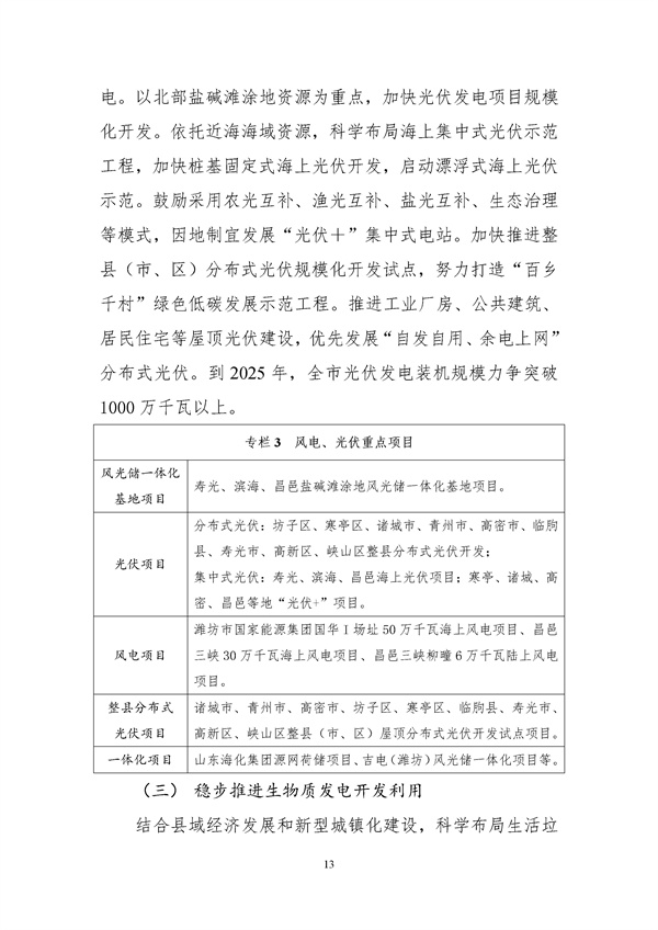 濰坊市可再生能源發展“十四五”規劃.docx_44_17.jpg