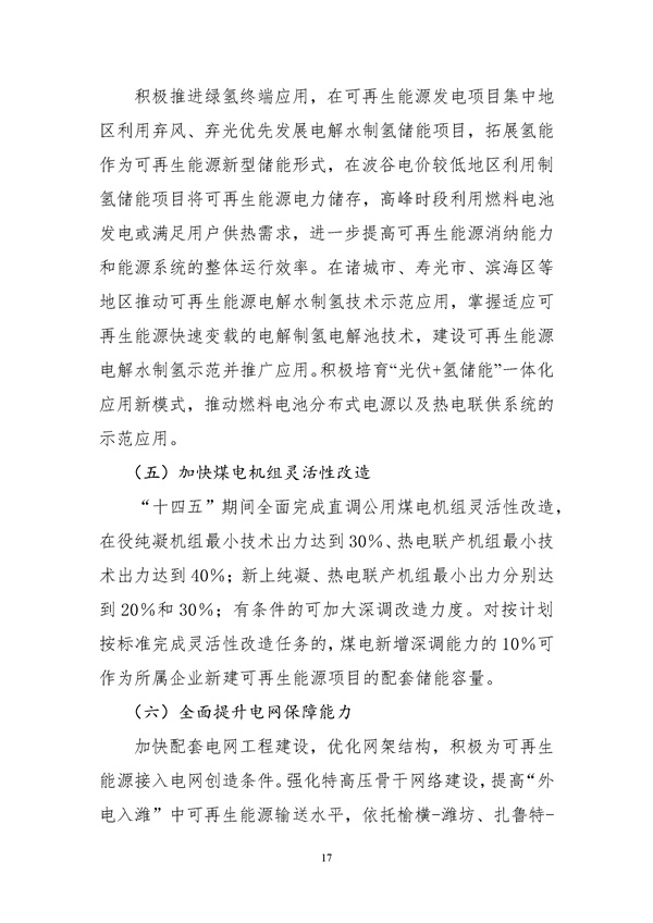 濰坊市可再生能源發展“十四五”規劃.docx_44_21.jpg